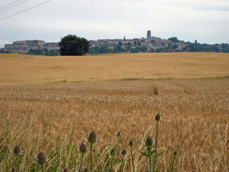 IMG_3053.JPG