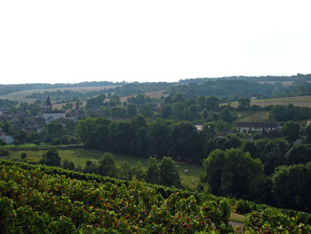 IMG_3341.JPG