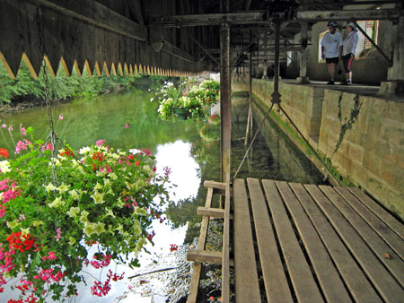 IMG_3362.JPG