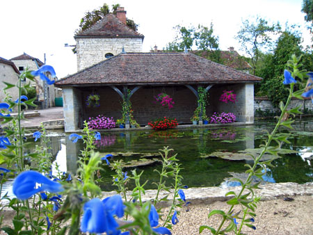 IMG_3383.JPG