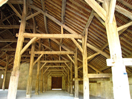 IMG_3389.JPG