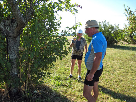 IMG_3442.JPG
