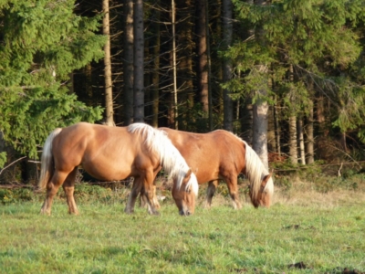 Photo12