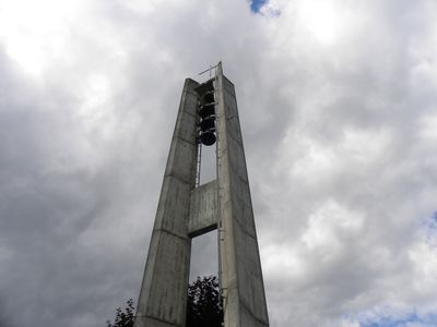 OM81