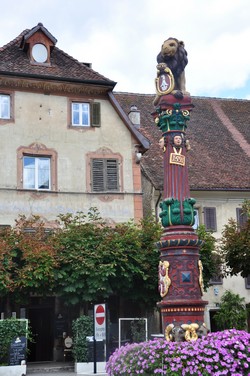 PP13