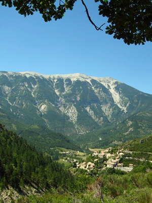 CCC11