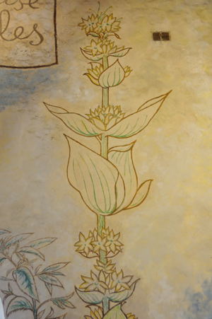 PP26