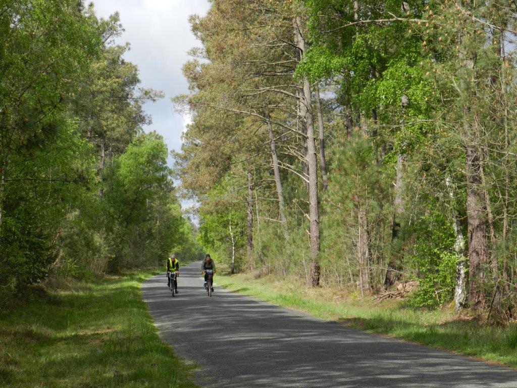 Le Randonneur