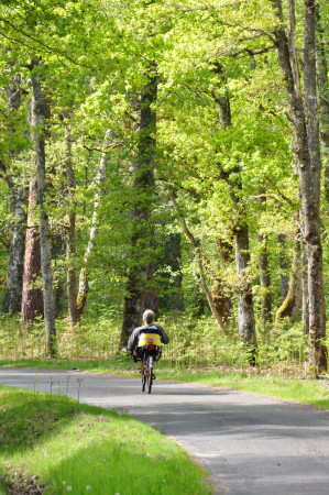 Lr Randonneur