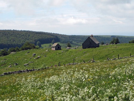 Buron d’Aubrac