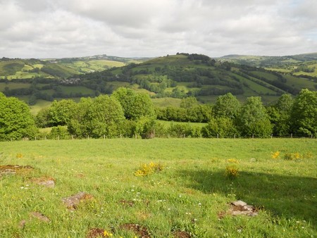 Aubrac