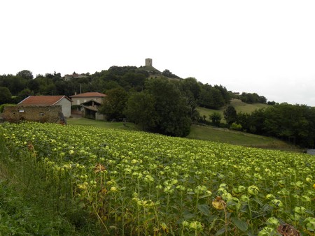 Tour d'Albon