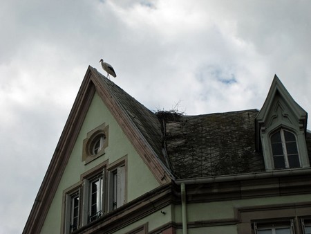 Munster et ses cigognes