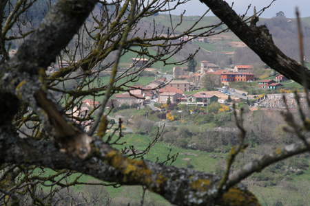 Beaujolais
