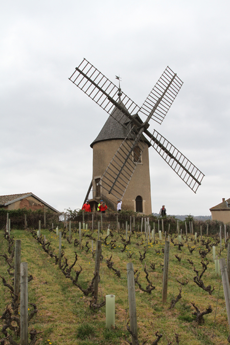 Beaujolais
