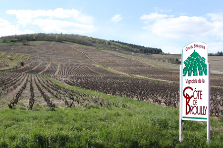 Beaujolais