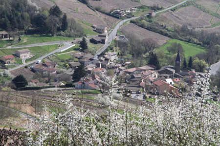 Beaujolais