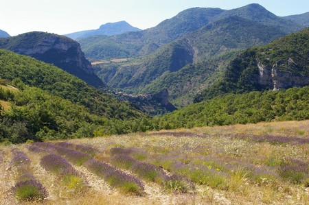 Pr�-Guittard