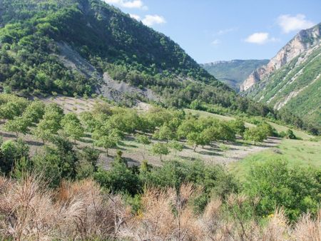 col du Fraysse