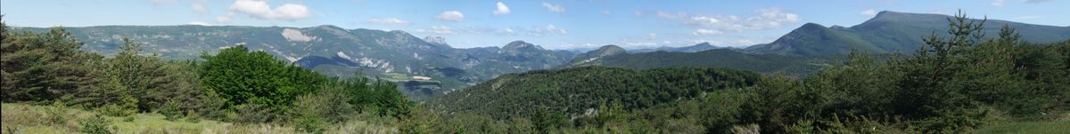 Chamauche