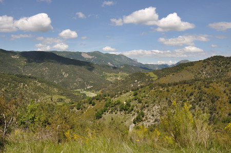 Chalmauche