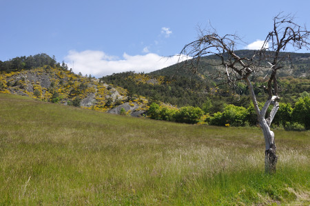 Montmorin