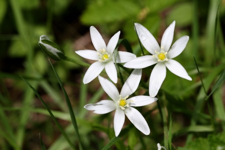 Valbonnais