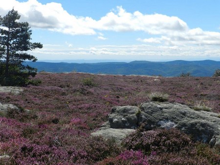 Mont du Somail