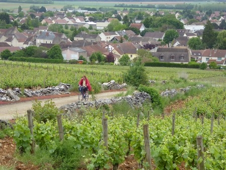 Ladoix-Serrigny