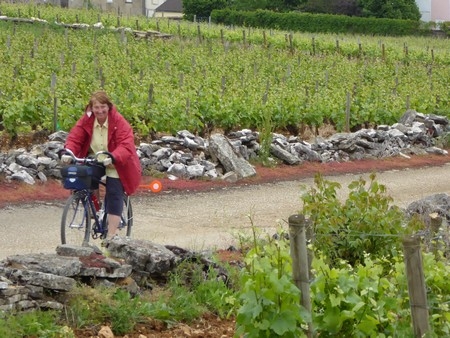 Ladoix-Serrigny