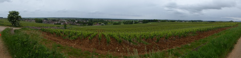 Beaune