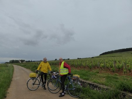 Ladoix-Serrigny