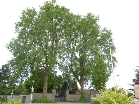 Beaune