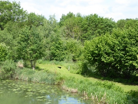 Seurre