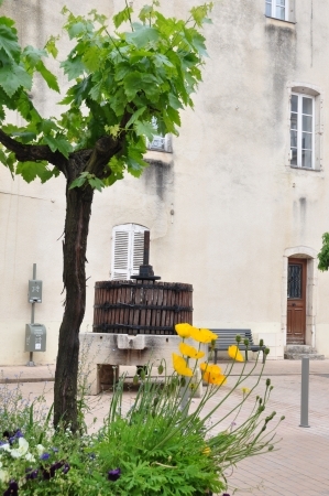 Nuits Saint Georges