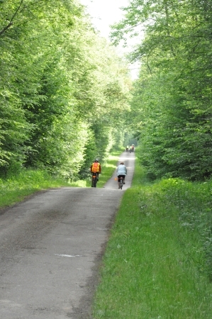 Seurre