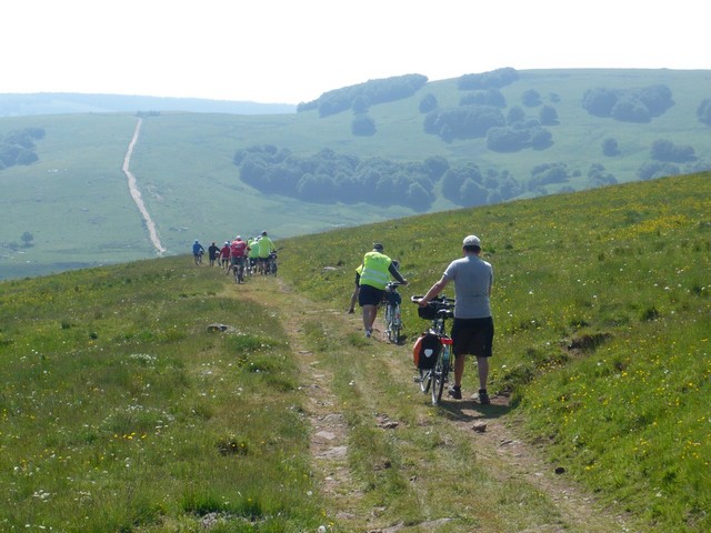 Aubrac