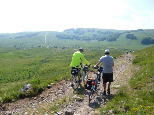 Aubrac