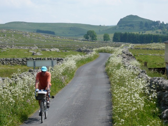 Aubrac