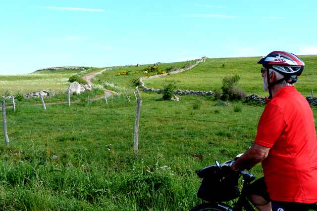 Aubrac