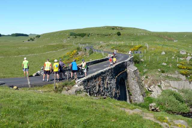 Aubrac