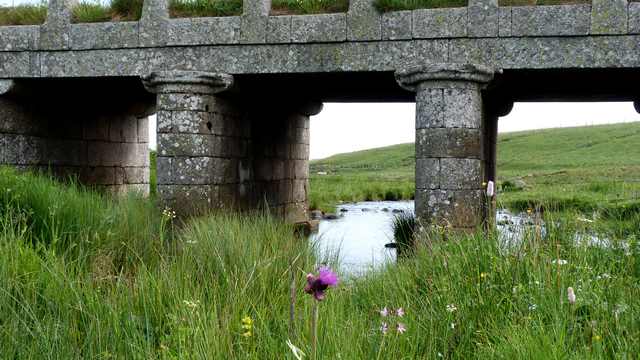 Aubrac