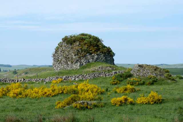 Aubrac