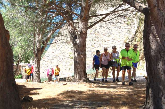 Collioure