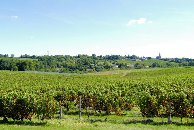 En Bordelais