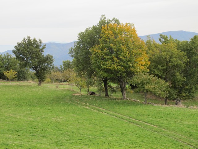 Saint Pierreville