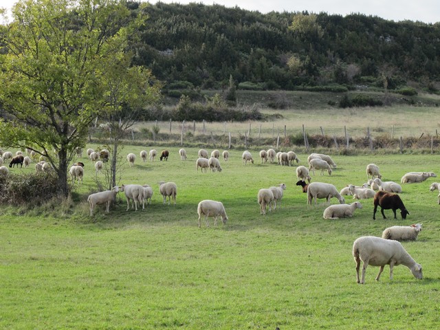 Saint Pierreville