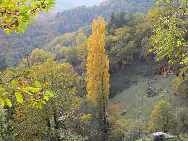 Saint Pierreville