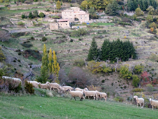 Saint Pierreville