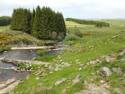 Randonneurs sur l'Aubrac